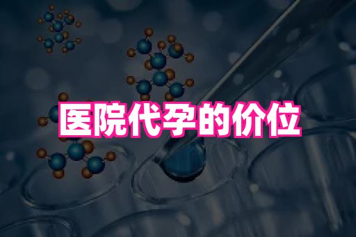 北京助孕网 2