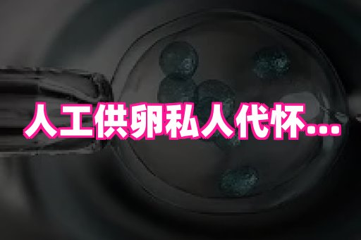 北京助孕网 4